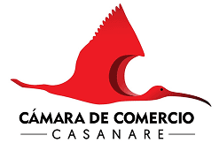 logo cámara de comercio casanare